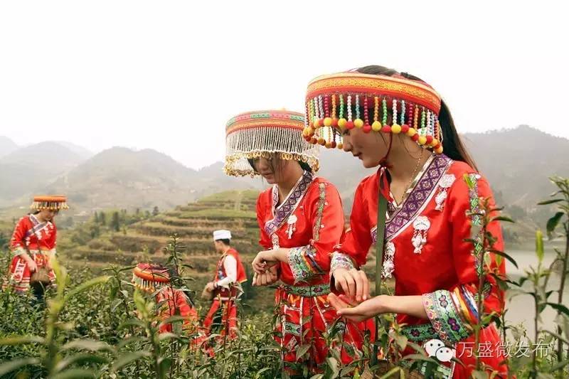 相信我,万盛还有你不知道的一面!