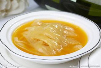 鱼翅有什么不好,鱼翅是名贵食材吗为什么不能吃呢