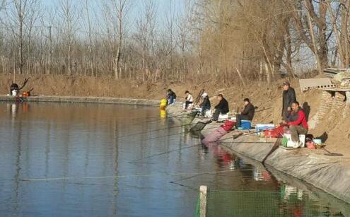 钓黑坑就是钓鱼人在炫富，不服可以来辩！