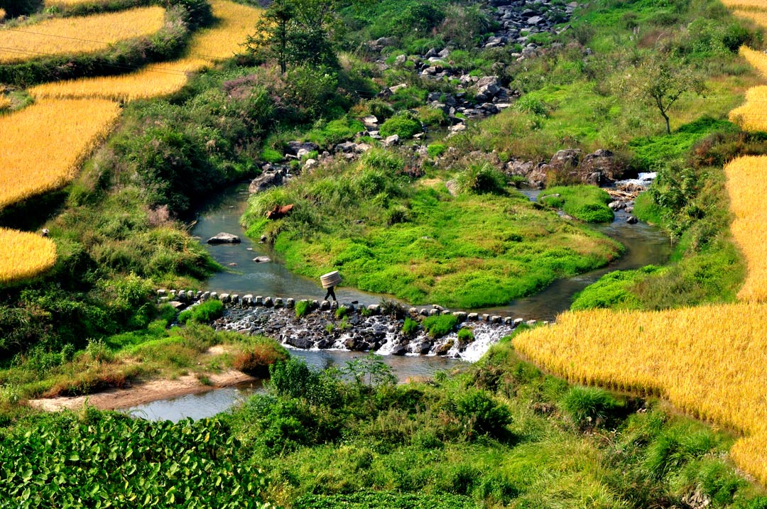 瑞瑞4岁生日照片,瑞瑞周岁生日