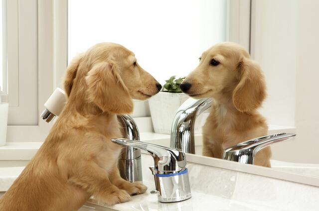 镜子在家里摆放禁忌是迷信吗,烂镜子可以摆放家里吗