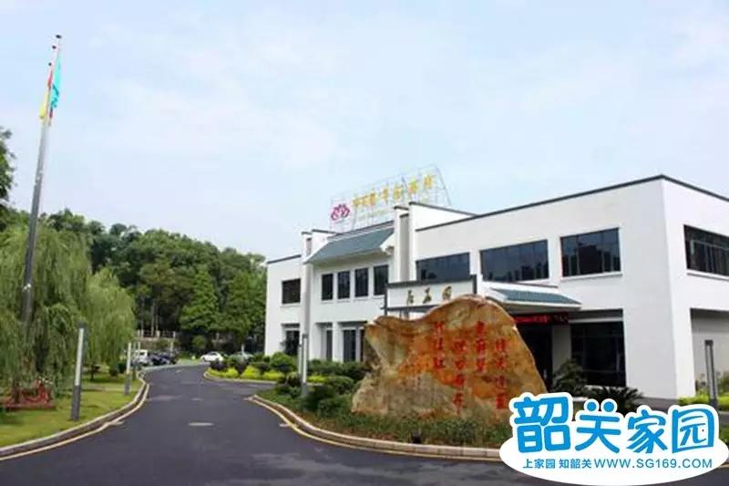 韶关茶餐厅推荐,韶关早茶店推荐