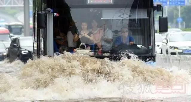 海绵宝宝跟人大战,海绵宝宝海滩打架