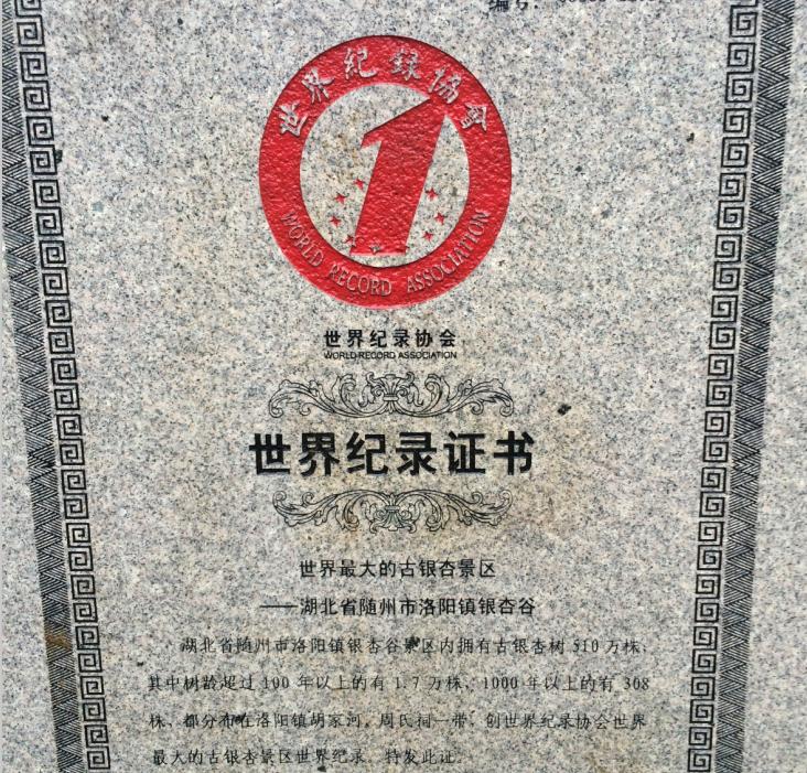 大美中国随州旅游攻略,灵秀湖北千湖之地