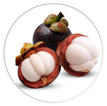 山竹有哪些问题,关于山竹的那些事