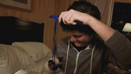 猫咪的行为翻译,猫咪的行为心理学