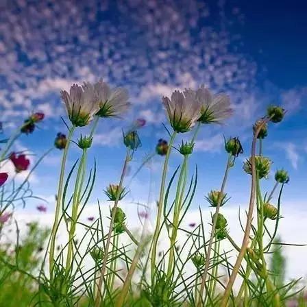 手机千万别放枕头旁,手机可以一直放在枕头旁边吗