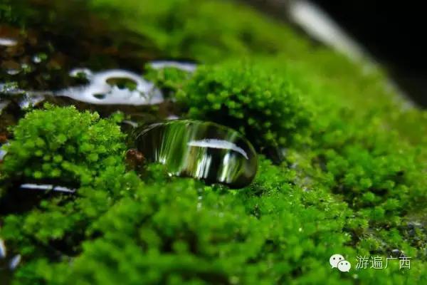 上林，有一条美如少女般不谙世事的小河