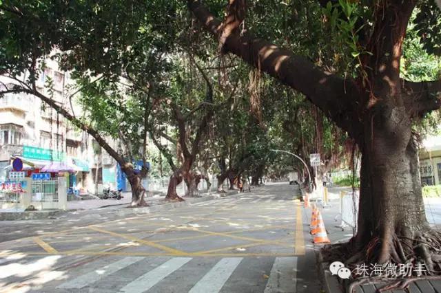 珠海最值得一去的特色街,我只去过5个,你呢?