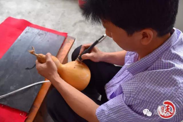 莱芜人的一天：农民陈功宝的“葫芦世界”！