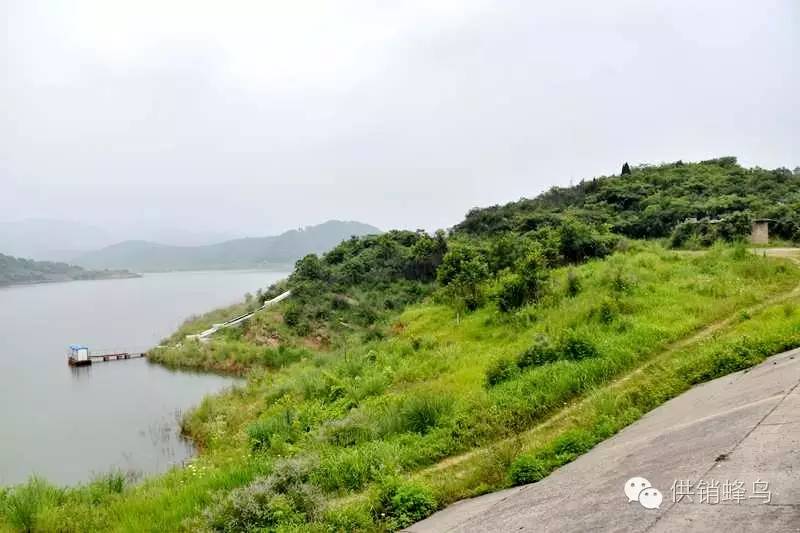 体验夏天农家生活,襄阳值得去的乡村