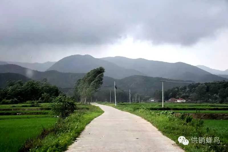 体验夏天农家生活,襄阳值得去的乡村