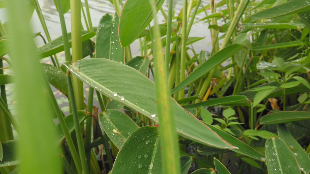 斐讯产品推荐,斐讯全网最新评测