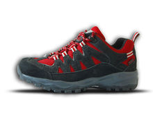 户外运动美篇幼儿园,游美户外运动