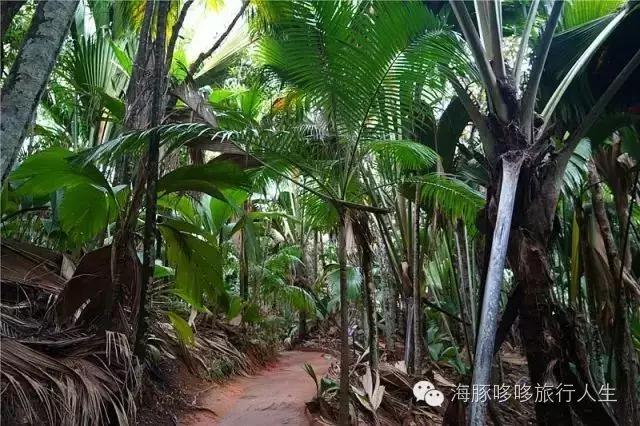 原来星球上还有这样的地方——哆哆的自然地理课！