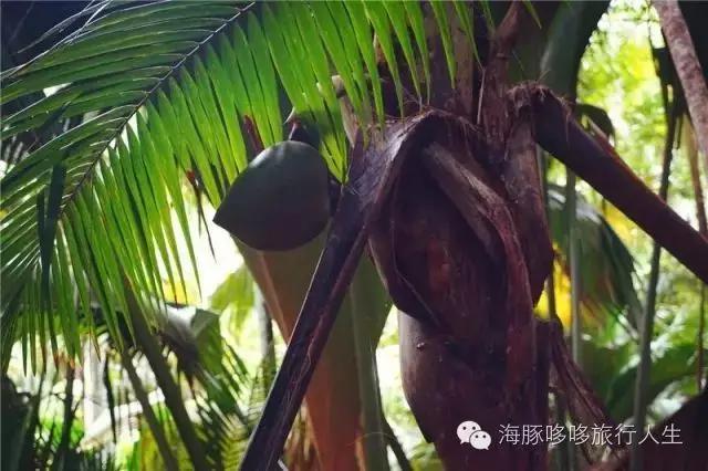 原来星球上还有这样的地方——哆哆的自然地理课！