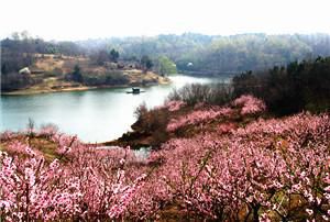 神马?舟山没去过,过来漫步吧