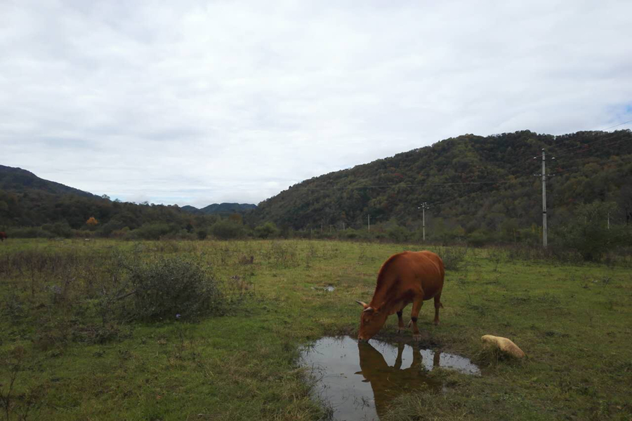 大美世外桃源香格里拉,关于西安香格里拉