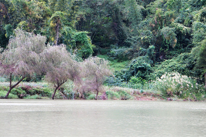 巴马世界旅居圣地,广西巴马长寿圣殿图片