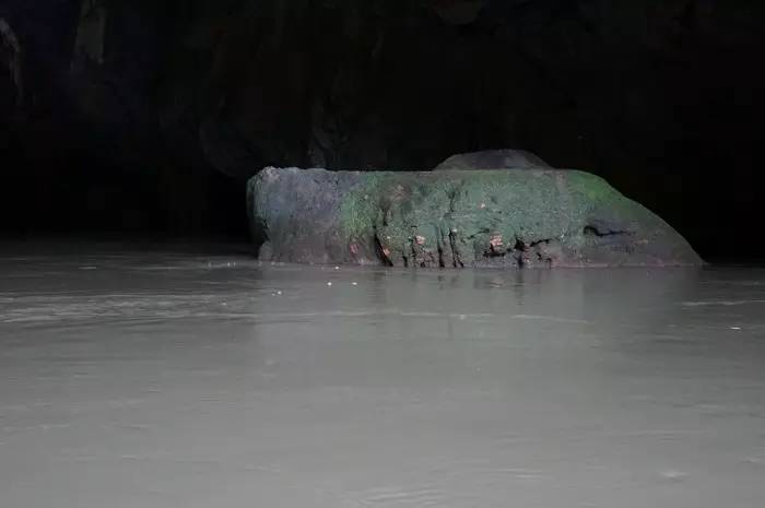 巴马世界旅居圣地,广西巴马长寿圣殿图片