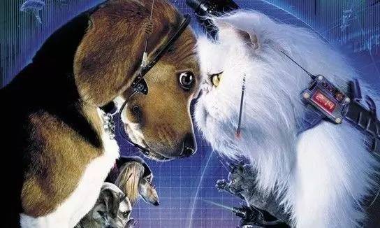 京东收购一号店融资安排,京东收购1号店多少钱