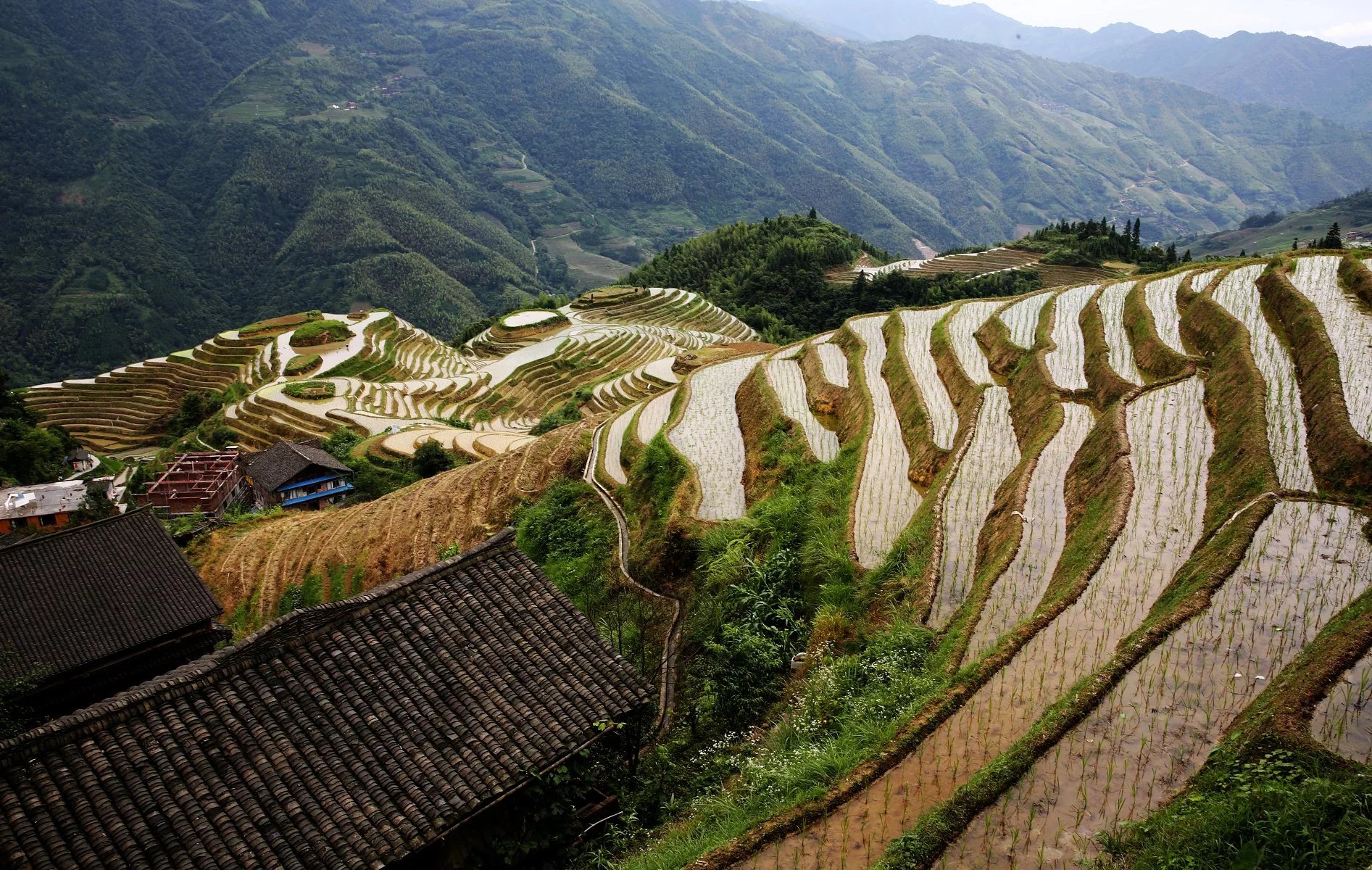 长发村红瑶淘米水洗发水直播,天下第一长发村用什么洗头发