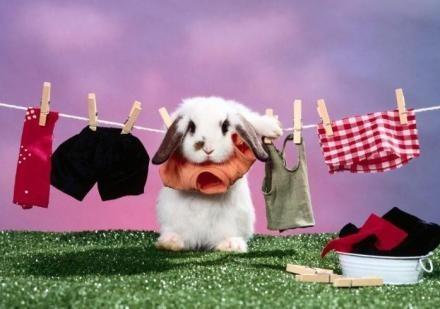 宝宝衣物脏了怎么办,宝宝衣物清洗危害