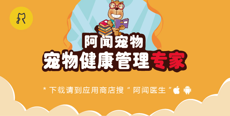 狗狗眼睛发炎打什么消炎针,狗狗眼睛发炎了可以用碘伏吗