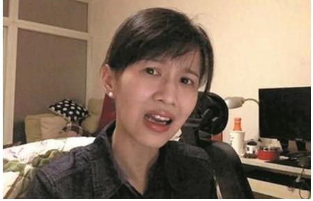 和papi酱很像的整容网红 (papi酱为什么会被称为网红鼻祖)