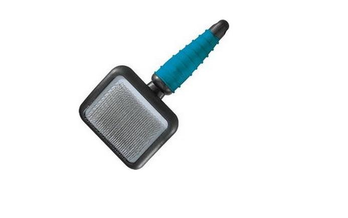 哈士奇的颜值超级高，要想保持光亮毛发，铲屎官们需要这样做！