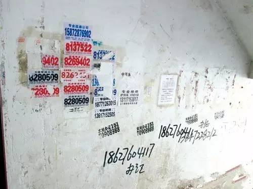 中国“办*证假**”技术入侵澳洲？澳政府表示哭笑不得