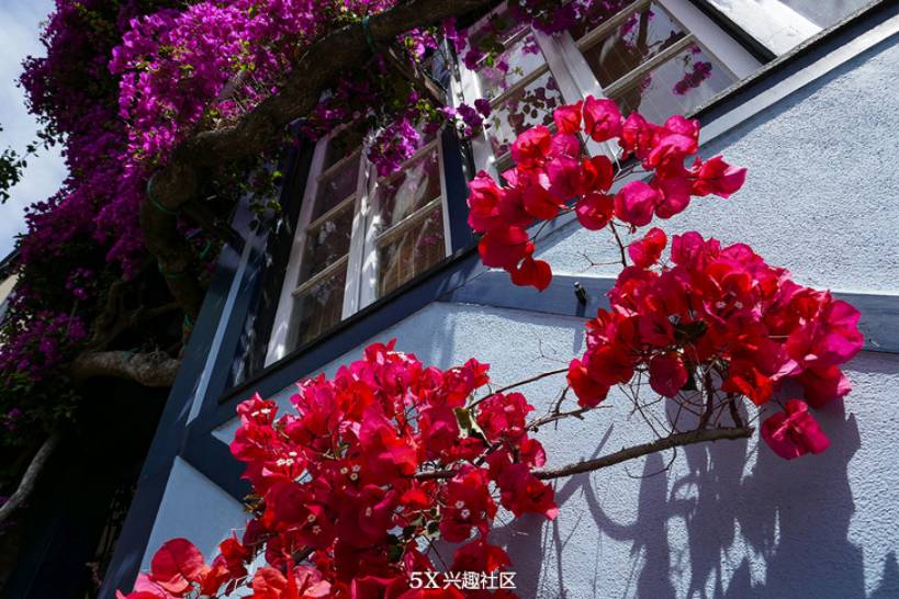 联想techworld2024,联想techworld深度解析