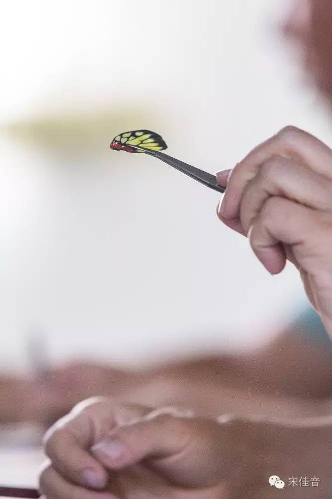 死的蝴蝶怎么让它复活,死的蝴蝶要怎么样活过来