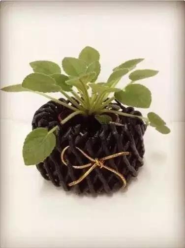 不用的水果网套有何利用价值,水果网套还能干什么用呢