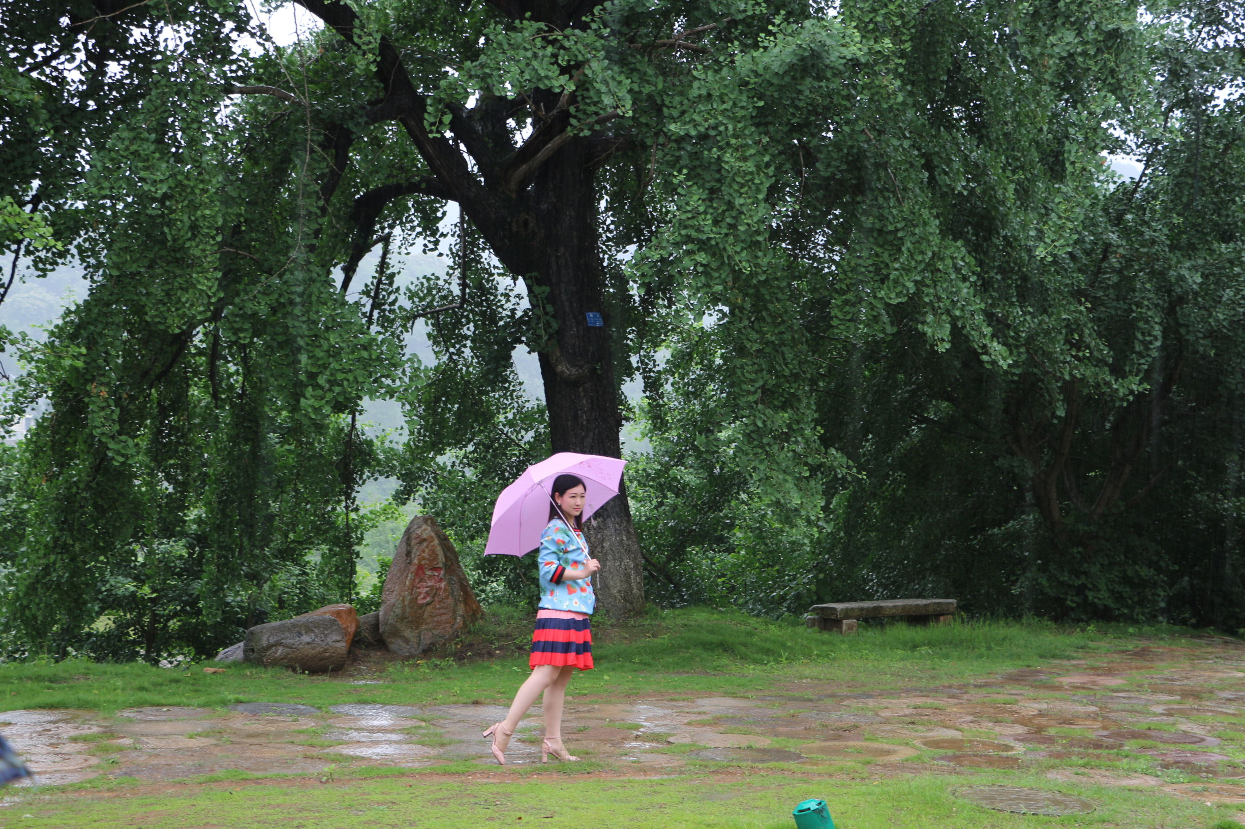 大美中国随州旅游攻略,灵秀湖北千湖之地