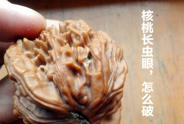 核桃有一个特别小的虫眼怎么办,核桃坏了怎么修补