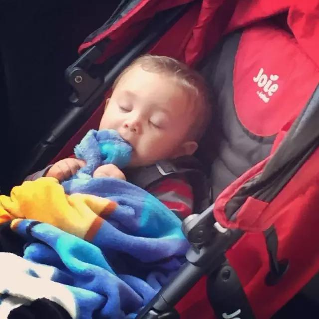 你拍出来的好照片:读者投稿选登(第五期)