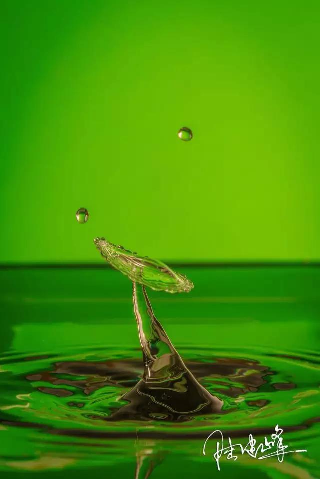 你拍出来的好照片:读者投稿选登(第五期)