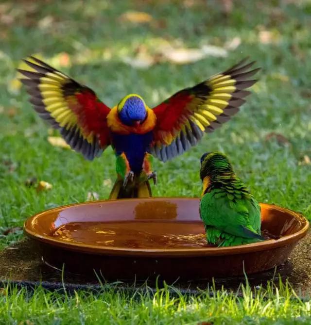 你拍出来的好照片:读者投稿选登(第五期)