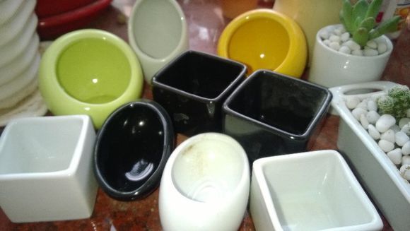 用超小的花盆种肉,自己做多肉花盆的方法