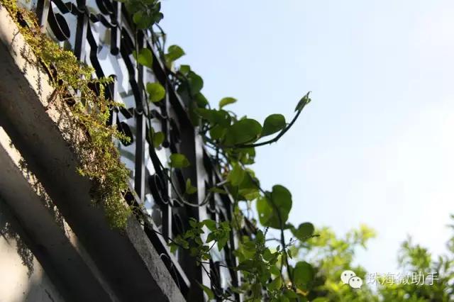 珠海最值得一去的特色街,我只去过5个,你呢?