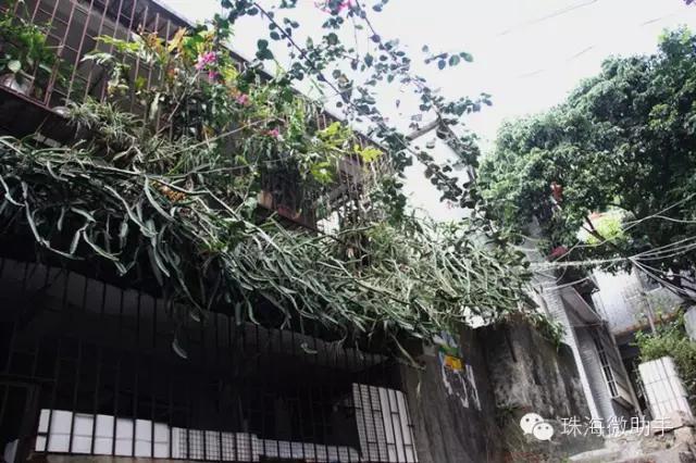 珠海最值得一去的特色街,我只去过5个,你呢?