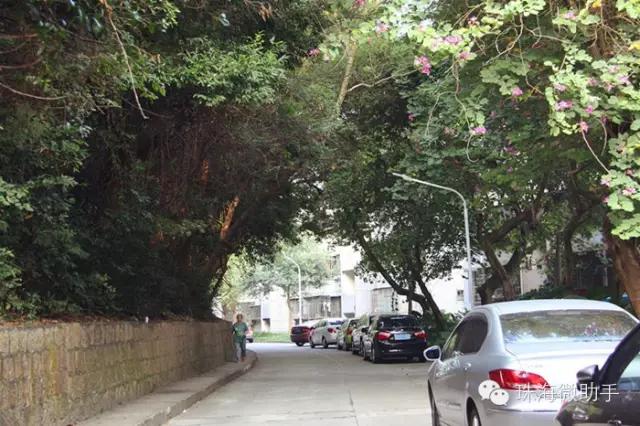 珠海最值得一去的特色街,我只去过5个,你呢?