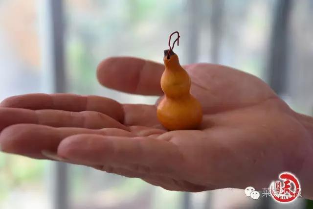 莱芜人的一天：农民陈功宝的“葫芦世界”！