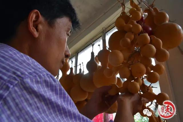 莱芜人的一天：农民陈功宝的“葫芦世界”！