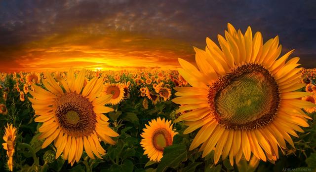 海南医保定点医院有哪些,海南医疗保险定点医院信息一览