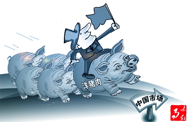 国内猪肉这么多为啥还要进口猪肉,现在猪肉这么便宜是进口肉吗