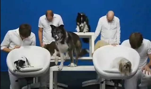 还好有OKGO治好我的性冷淡（跪着看完）……