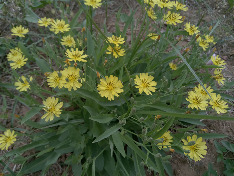 <html>
<head><title>502BadGateway</title></head>
<body>
<center><h1>502BadGateway</h1></center>
<hr><center>nginx</center>
</body>
</html>
<!--apaddingtodisableMSIEandChromefriendlyerrorpage-->
<!--apaddingtodisableMSIEandChromefriendlyerrorpage-->
<!--apaddingtodisableMSIEandChromefriendlyerrorpage-->
<!--apaddingtodisableMSIEandChromefriendlyerrorpage-->
<!--apaddingtodisableMSIEandChromefriendlyerrorpage-->
<!--apaddingtodisableMSIEandChromefriendlyerrorpage-->
