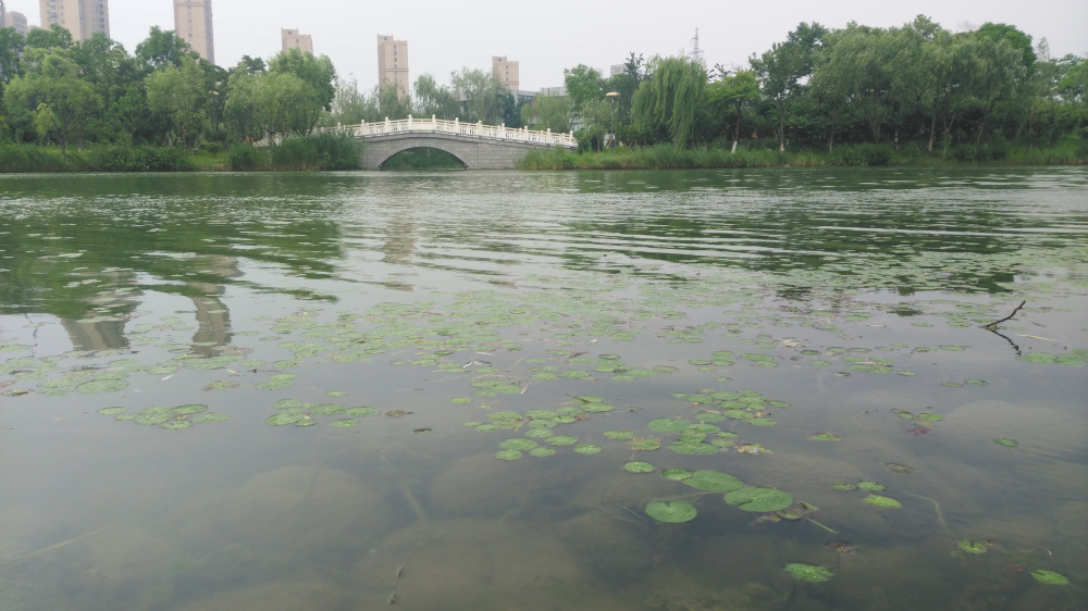 斐讯产品推荐,斐讯全网最新评测